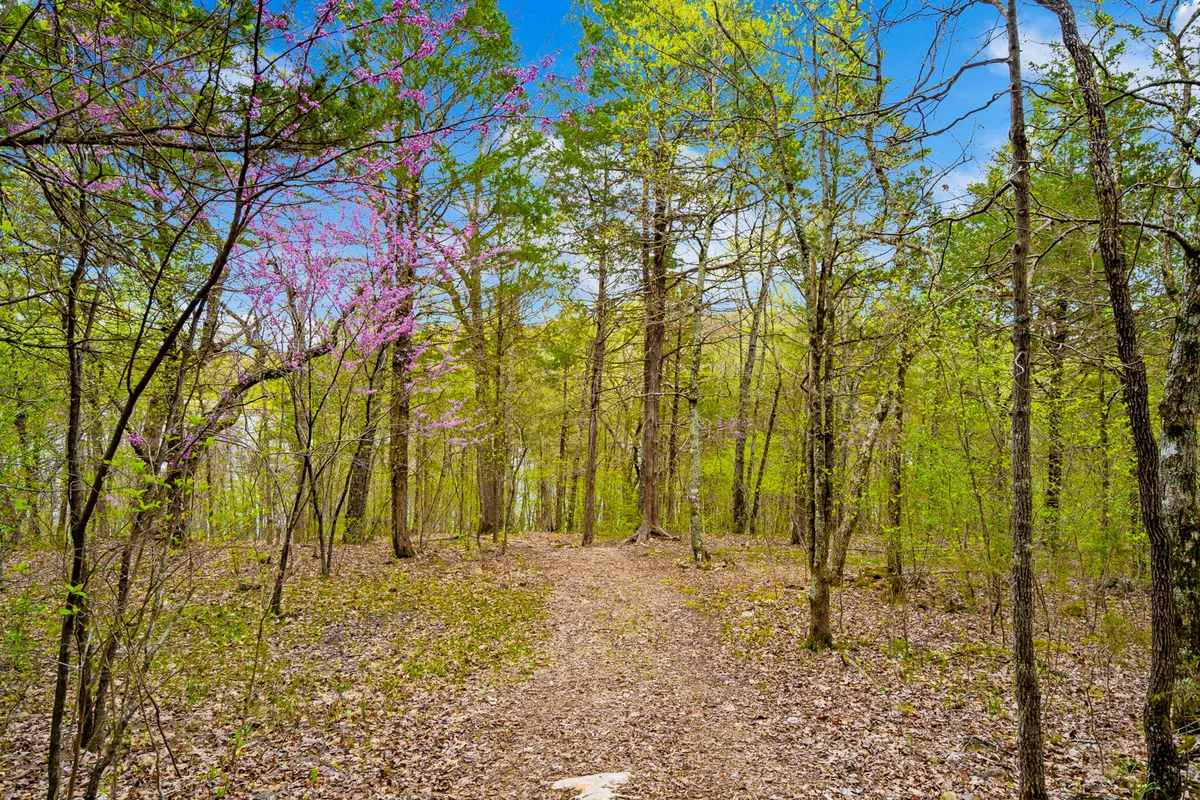 A winding natural pathway bordered by leafy trees and colorful wildflowers. The path leads through a quiet, shaded forest, inviting exploration and adventure as it disappears into the greenery.